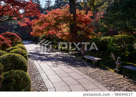 Nayoji Temple of the Fall Nayoji Temple of the Fall 96694017