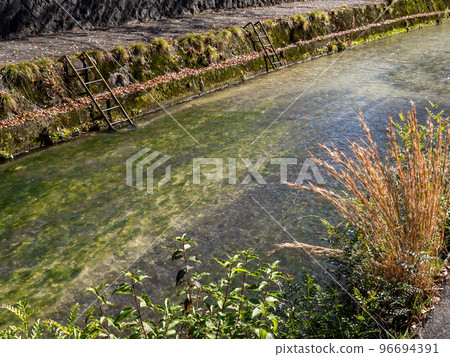 白川(京都市)。白川兒童游泳池遺址。 白川(京都市)。白川兒童游泳池遺址。 96694391