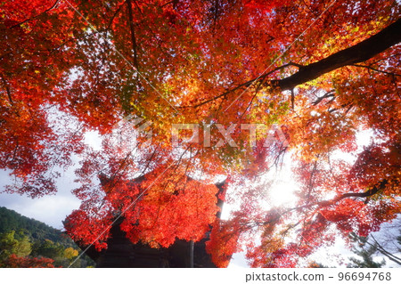 Nanzenji Temple shining red Nanzenji Temple shining red 96694768