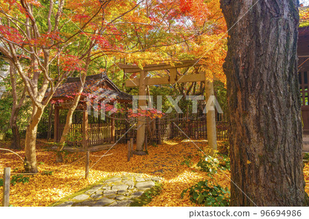 Rengeji temple grounds with beautiful autumn leaves (Sakyo Ward, Kyoto City, Kyoto Prefecture) 96694986