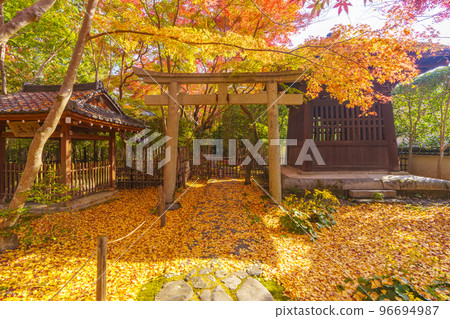 Rengeji temple grounds with beautiful autumn leaves (Sakyo Ward, Kyoto City, Kyoto Prefecture) 96694987