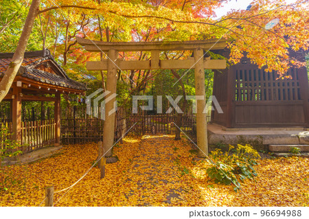 Rengeji temple grounds with beautiful autumn leaves (Sakyo Ward, Kyoto City, Kyoto Prefecture) 96694988