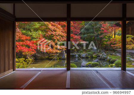 蓮華寺的秋葉相框庭園(京都府京都市左京區) 蓮華寺的秋葉相框庭園(京都府京都市左京區) 96694997