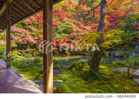 蓮華寺的秋葉相框庭園（京都府京都市左京區） 96694999