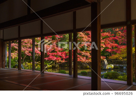 蓮華寺的秋葉相框庭園（京都府京都市左京區） 96695026