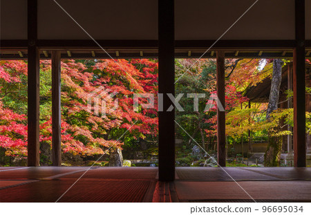 Autumn leaves at Rengeji Temple Picture frame garden (Sakyo Ward, Kyoto City, Kyoto Prefecture) 96695034