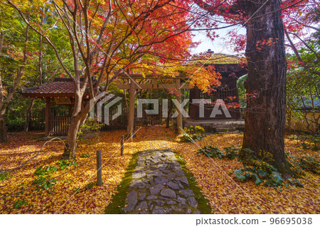 紅葉美麗的蓮華寺院內（京都府京都市左京區） 96695038