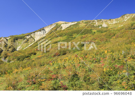 Autumn leaves Tsugaike nature park 96696048