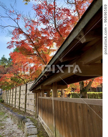 透過木柵欄,鮮豔的秋葉倒映在藍天下(愛知縣岡崎市岡崎城公園城南亭) 透過木柵欄,鮮豔的秋葉倒映在藍天下(愛知縣岡崎市岡崎城公園城南亭) 96696569