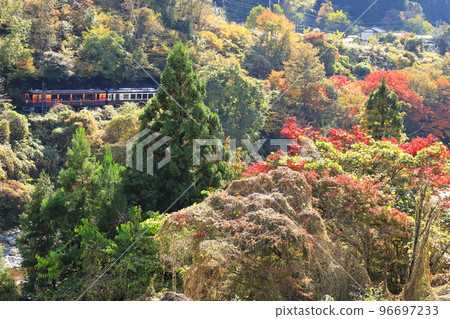 Watarase Keikoku Railway "Train that travels through the outstanding scenery of green and red trees" 96697233