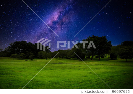 星光下的公園綠地 96697635