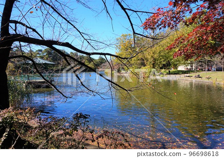 Omiya Park Ruins in Omiya Park Funayu Pond Omiya Park Ruins in Omiya Park Funayu Pond 96698618