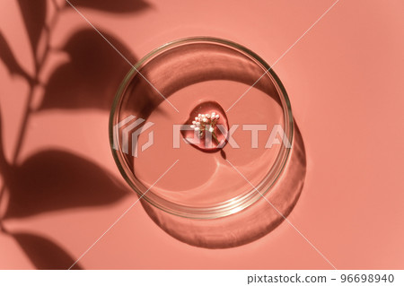 Drop of face serum, oil and flower in Petri dish. Natural medicine, cosmetic research. Concept of skincare, bio analysis. Dermatology. Anti-agie beauty products presentation. Flat lay, top view 96698940