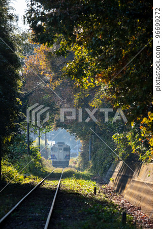 [Hojo Railway] Train passing through forest tunnel 96699272