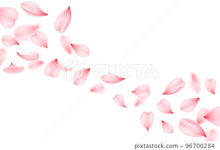 Flying sakura vector background. Pink flower petals of cherry blossom falling down or flying on the wind. Romantic floral background of realistic japanese sakura tree spring blossom flying through air 96700284