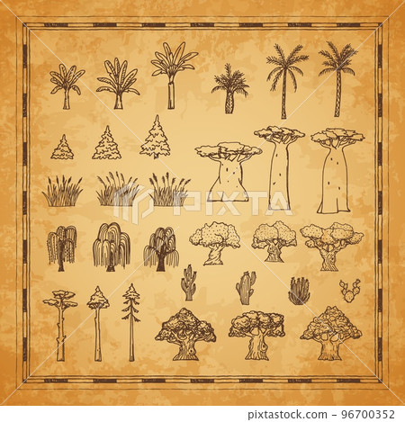 Vintage map plants and trees, palm, baobab and cactus, willow, oak, reeds and spruce in vector sketch. Pirate treasure island and Caribbean adventure map with tropical trees on grunge background 96700352