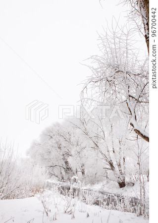 Snow-covered landscape of open spaces near the river. Snowy weather Snow-covered landscape of open spaces near the river. Snowy weather 96700442