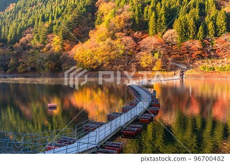 《Tokyo》Autumn Okutama lake・Drum can bridge of autumn leaves 96700482