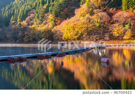 《Tokyo》Autumn Okutama lake・Drum can bridge of autumn leaves 《Tokyo》Autumn Okutama lake・Drum can bridge of autumn leaves 96700483