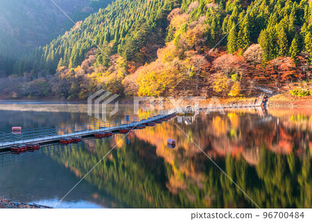《Tokyo》Autumn Okutama lake・Drum can bridge of autumn leaves 96700484