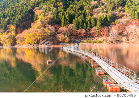 《東京》秋天的奧多摩湖・紅葉鼓罐橋 96700499