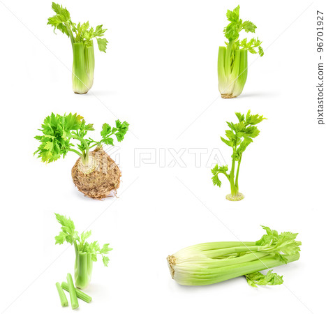 Collage of celeriac isolated on a white background cutout Collage of celeriac isolated on a white background cutout 96701927