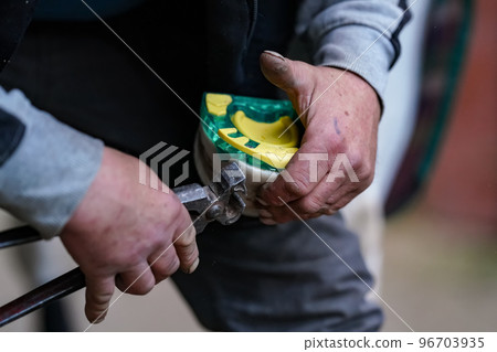 Man farrier installing plastic horseshoe to hoof. Closeup up detail to hands holding animal feet and metal tongs Man farrier installing plastic horseshoe to hoof. Closeup up detail to hands holding animal feet and metal tongs 96703935