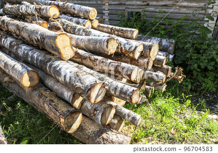 Stacked timber at the countryside in sunny day Stacked timber at the countryside in sunny day 96704583