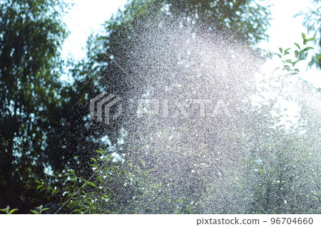 Water splashing out of water sprinkler. Fresh summer background. Waterdrops.  96704660