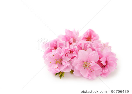  Peach blossoms 96706489