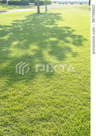 Fresh green park Shade Eco image 96706665