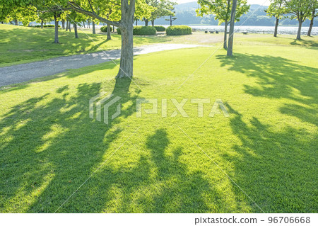 清新的綠色公園樹蔭生態形象 96706668