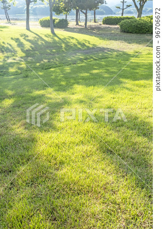 清新的綠色公園樹蔭生態形象 96706672