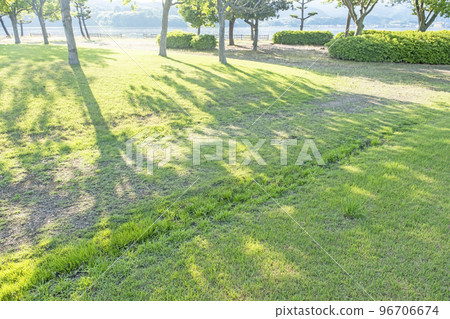 清新的綠色公園樹蔭生態形象 96706674