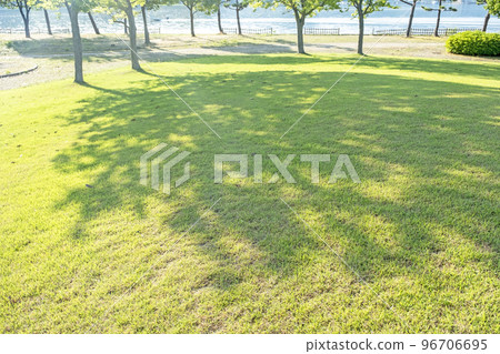 清新的綠色公園樹蔭生態形象 96706695