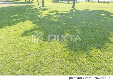 清新的綠色公園樹蔭生態形象 96706696