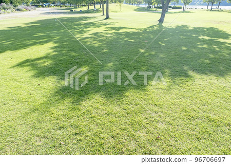 清新的綠色公園樹蔭生態形象 96706697