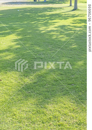 清新的綠色公園樹蔭生態形象 96706698