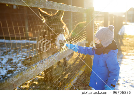 A child is having fun on a farm with animals on winter day. A little boy is stroking a donkey. Kids and animals. Entertainment for children on school holidays. A child is having fun on a farm with animals on winter day. A little boy is stroking a donkey. Kids and animals. Entertainment for children on school holidays. 96706886