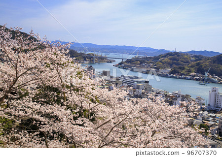 Spring Onomichi Senkoji Park Cherry Blossoms and Onomichi Channel 96707370