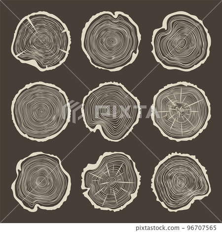 Round tree trunk cuts with cracks, sawn pine or oak slices, lumber. Saw cut timber, wood. Brown wooden texture with tree rings. Hand drawn sketch. Vector illustration Round tree trunk cuts with cracks, sawn pine or oak slices, lumber. Saw cut timber, wood. Brown wooden texture with tree rings. Hand drawn sketch. Vector illustration 96707565