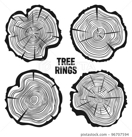 Round tree trunk cuts with cracks, sawn pine or oak slices, lumber. Saw cut timber, wood. Wooden texture with tree rings. Hand drawn sketch. Vector illustration Round tree trunk cuts with cracks, sawn pine or oak slices, lumber. Saw cut timber, wood. Wooden texture with tree rings. Hand drawn sketch. Vector illustration 96707594