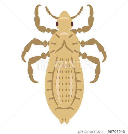 蝨子的插圖 96707940