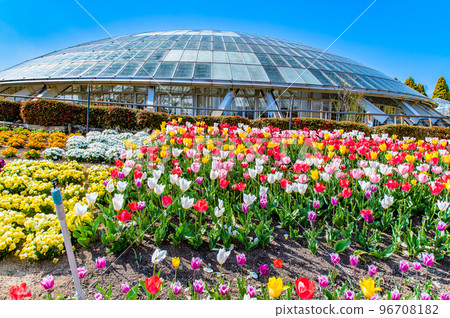 Yamanashi Fuefukigawa Fruit Park where spring flowers bloom 96708182