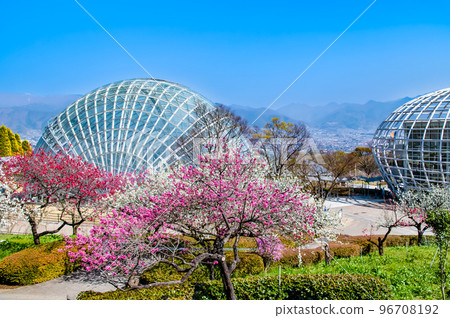 Yamanashi Fuefukigawa Fruit Park where spring flowers bloom 96708192