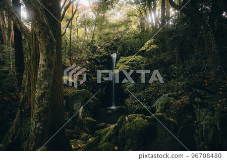 [Narita City, Chiba Prefecture] Naritasan Park Natural scenery 96708480