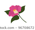 粉紅色的山茶花分支的插圖 粉紅色的山茶花分支的插圖 96708672