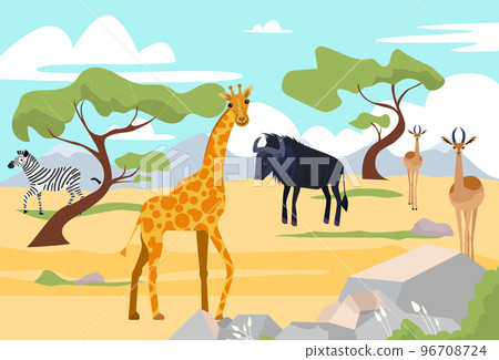 Outdoor wildland savannah landscape, africa wildlife animal giraffe, buffalo and zebra nature reserve park flat vector illustration. Outdoor wildland savannah landscape, africa wildlife animal giraffe, buffalo and zebra nature reserve park flat vector illustration. 96708724