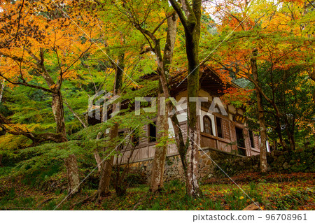 In the precincts of Otoin Temple in the autumn colors of Morimachi, Shizuoka Prefecture 96708961