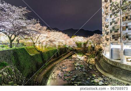 佐賀縣嬉野溫泉町“鹽田川附近”的夜間櫻花 96708973